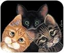 Peeping Toms Tom Cats Kittens Mouse Pad MousePad