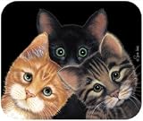 Peeping Toms Tom Cats Kittens Mouse Pad MousePad