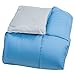 Lavish Home Reversible Down Alternative Comforter, Twin, Light Blue/Grey