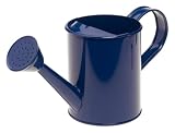 Metal Watering Can