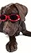 Doggles ILS Medium Green Camo Frame and Smoke Lens