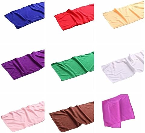 10x Dish Towel Fiber Dishcloth Dishrag Duster Wash Cloth Hand Towel 25x25 GSE