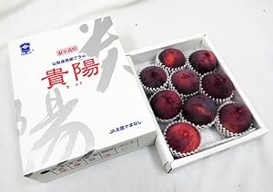 【送料無料】山梨・長野産　幻のプラム ”貴陽プラム”　9～11玉　約2kg（風袋込）　化粧箱入り　ギフトにも♪