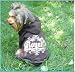 ROYALTY Brown Dog Hoodie by Ruffluv at THE REGAL DOG - Size XXLarge XXL 2XL Image
