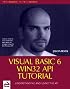 Visual Basic 6 Win32 API Tutorial