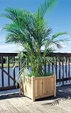 Outdoor Living : White Cedar Deck Planter