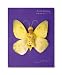 Search : Down in the Garden: Photofolio