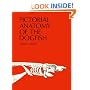 Pictorial Anatomy of the Dogfish