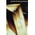 The Rise of the Novel: Studies in Defoe, Richardson and Fielding