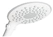 WaterPik CF-201 Cascadia (White with Gray Accent)