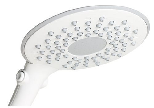 Waterpik CF-201 Cascadia Dual Mode 8-Inch Showerhead, White