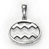  : Aquarius AMON-RA Pendant (1/21 - 2/19). Egyptian Astrology. Zodiac of Dendra. Sterling Silver