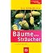 Naturf�hrer und Bestimmungsb�cher: Pflanzen