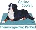 Canine Cooler Brand Thermoregulating Pet Bed for Dogs - Small (18''x24'')