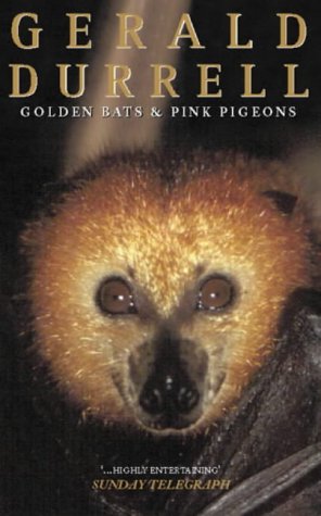 View Image