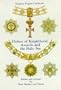 Orders of Knighthood, Awards & the Holy See (Van Duren publishers)