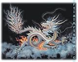 Martial Arts T-shirt - Dragon (White T-shirt) - CHL, CHM, L, M, S, or XL