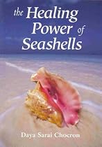 Healing Power of Seashells