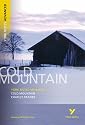 York Notes on "Cold Mountain" (York Notes Advanced)