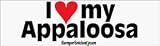 I Love My Appaloosa - bumper stickers (Medium)