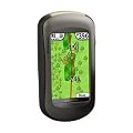 Garmin GPS Ger�t Approach G5