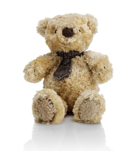 Small Spencer Bear with Tie