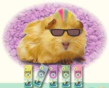 Care Fresh Litter SAB118241 Absorption Carefresh Colors Premium Soft Store Pet Bedding, 50-Litre, Pink