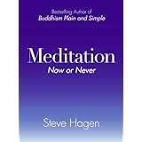 meditation now or never
