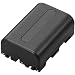 CTA Replacement Battery for Sony NP-FM55H