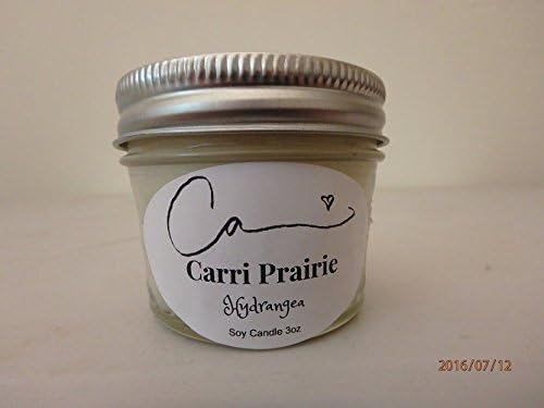 Hydrangea scented soy candles that are hand poured by me. This fragrance carries a subtle and sweet aroma with a hint of spice.