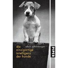 Die einzigartige Intelligenz der Hunde