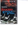 Sharks and Little Fish