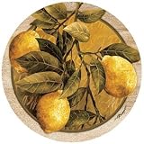 Lemon Branch - Thirstystone Sandstone Coaster Set
