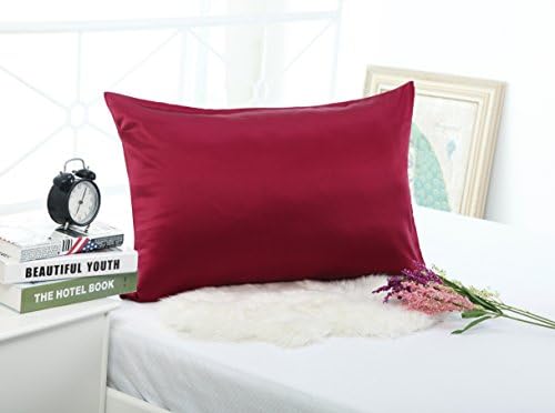 19mm 100% Premium Luxury Pure Mulberry Silk Pillowcase for Hair &amp; Facial Beauty Queen/Standard Size 20x30Inch Shams with Hidden Zipper ,Both Sides Silk,1pc,19Momme (Dark Red)