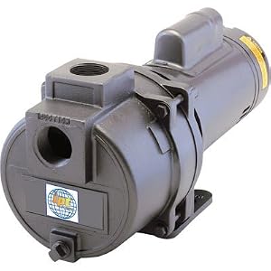 IPT Two Stage Sprinkler Booster Pump