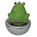 Sassafras The Little Cook Wobblie Timers, Frog
