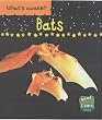 Bats  (Read & Learn) (What's Awake?)