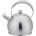 BERGNER 3 Liter Kessel EDELSTAHL - Silber - auch für Induktion - Flötenkessel - Teekessel - Wasserkessel