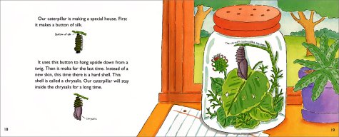 From Caterpillar to Butterfly (Let's-Read-and-Find-Out Science 1)