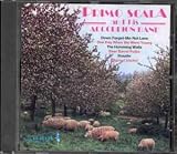 Primo Scala & His Accordion Band