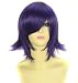 FENGSHANG Beauty Silver Soul Anime Takasugi Shinsuke Party and Short Cosplay Wigs Purple 14 Inches
