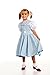 Kidcostumes Child's Dorothy Costume Dress for The Wizard of Oz, Small 4/6