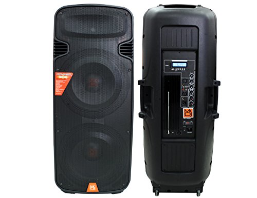 alpine portable speaker