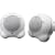 Sony SRS-P11Q Passive Speaker System, White