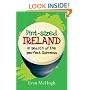 Pint-sized Ireland: In Search of the Perfect Guinness