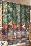 Horse Shower Curtain - Paint Western Horses