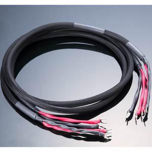 AET �X�s�[�J�[�P�[�u��2.1m�E�y�A SIN SP EVD/2.1(�y�A)