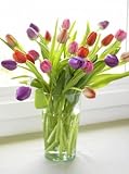 Colorful Spring Tulips, Eco-Friendly - Certified Organic, Multi-color Tulip Bouquet