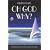 Oh God, Why?: A Spiritual Journey Towards Meaning, Wisdom and Strength