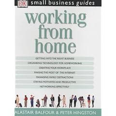 Working from Home (Small Business Guides)